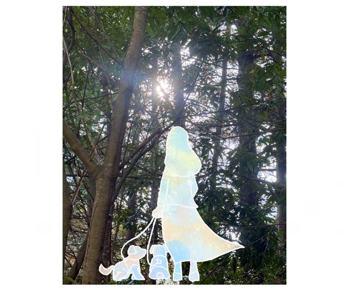 스크린샷 2026-03-13 오후 4.51.34.png