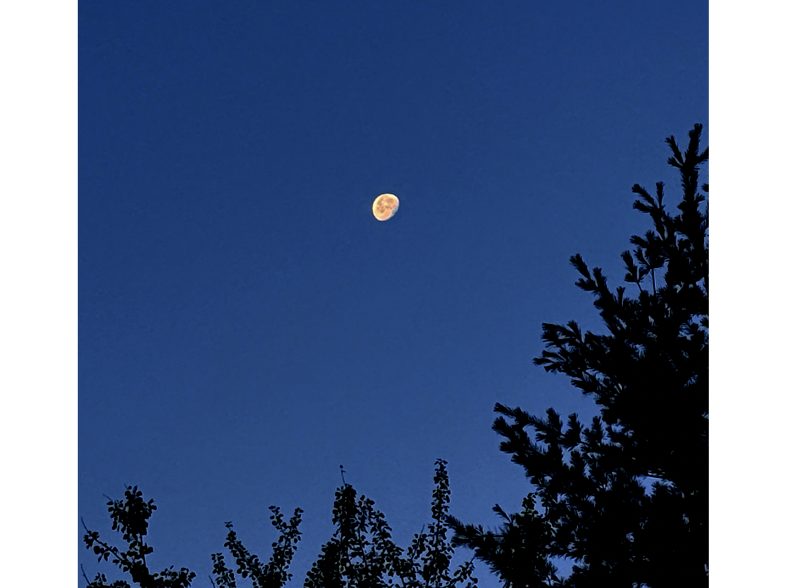 스크린샷 2026-01-27 오전 8.35.30.png