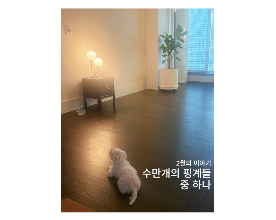 스크린샷 2026-02-24 오전 7.39.02.png