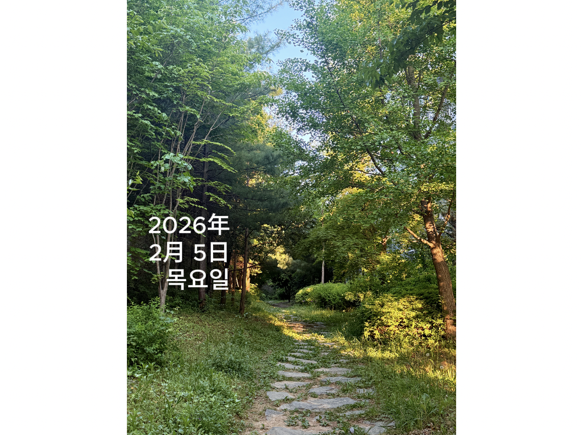스크린샷 2026-02-05 오전 6.58.04.png