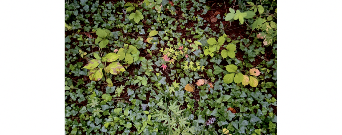 스크린샷 2026-03-06 오후 5.12.07.png