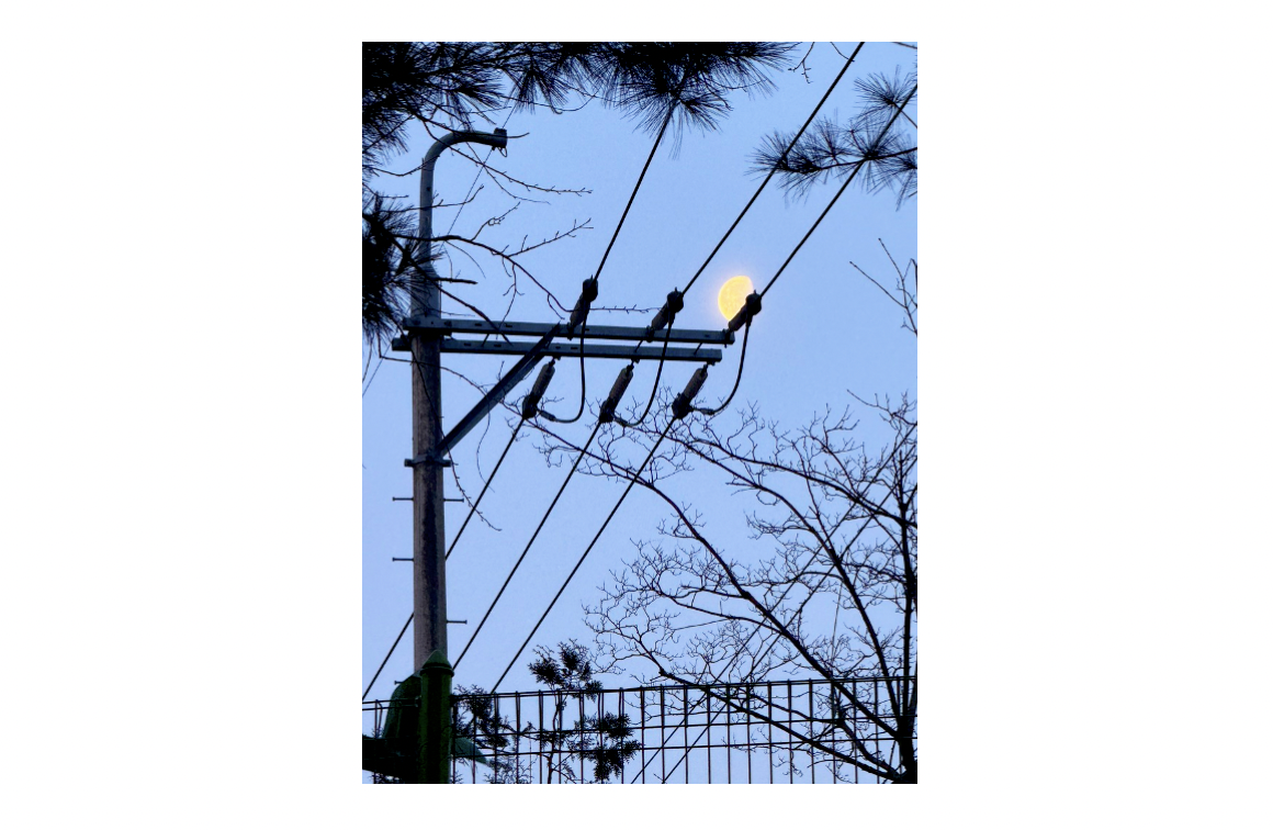 스크린샷 2026-03-26 오전 9.19.24.png