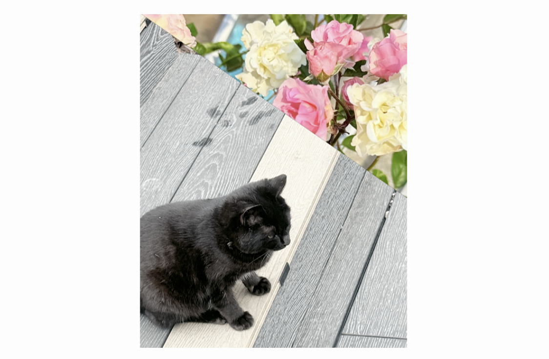 스크린샷 2026-02-27 오전 9.51.41.png