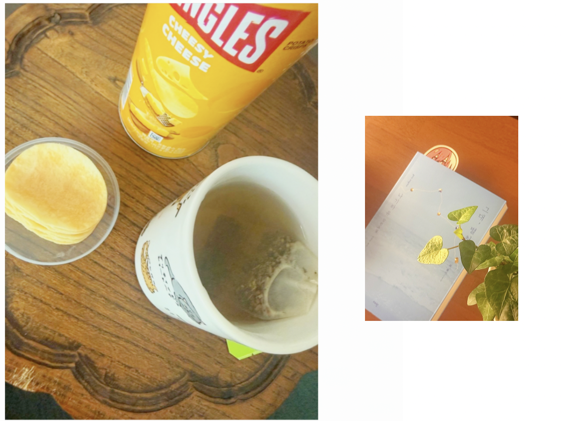 스크린샷 2026-02-23 오전 7.41.46.png