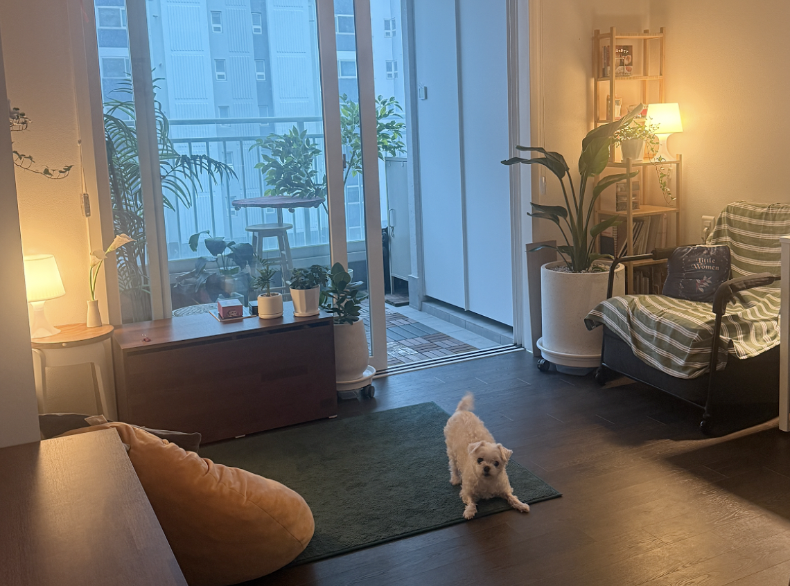 스크린샷 2026-02-17 오전 8.01.01.png