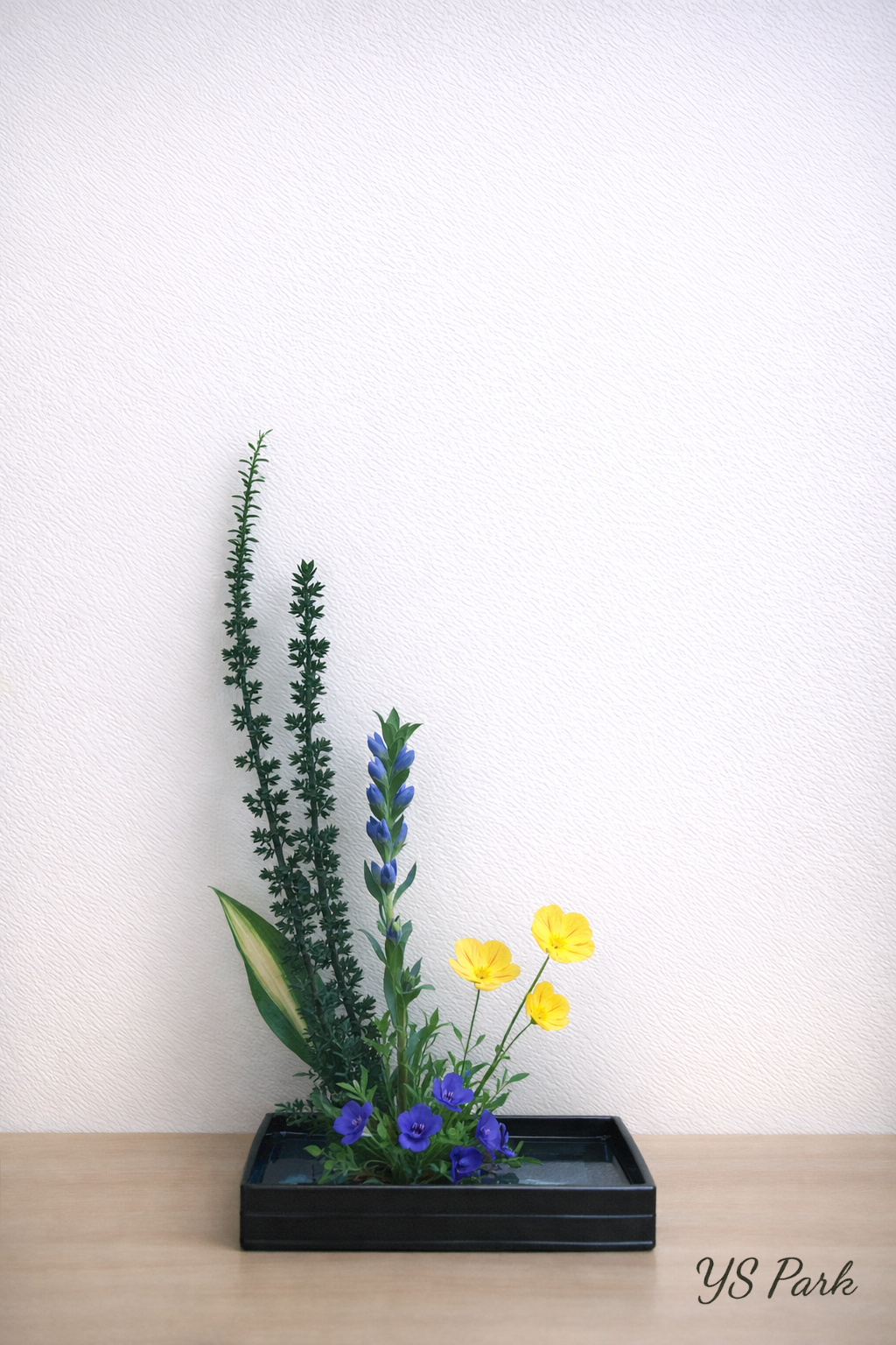 꽃 27화~달맞이꽃 본문.png