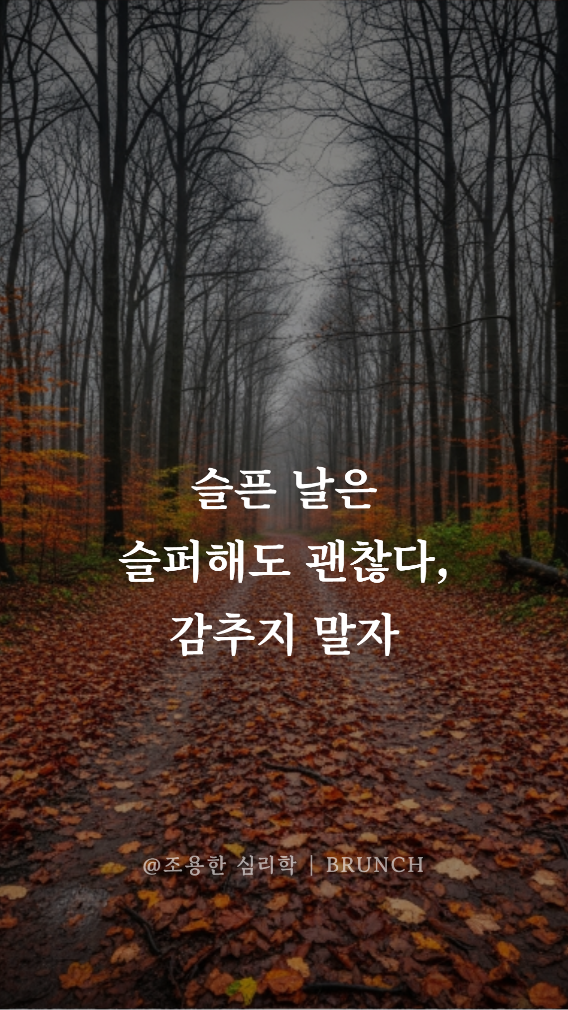 웃으면 행복해질 줄 알았다 08.png