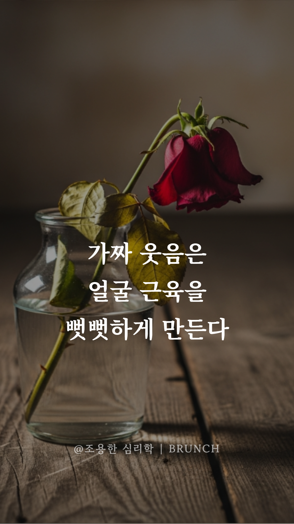 웃으면 행복해질 줄 알았다 03.png