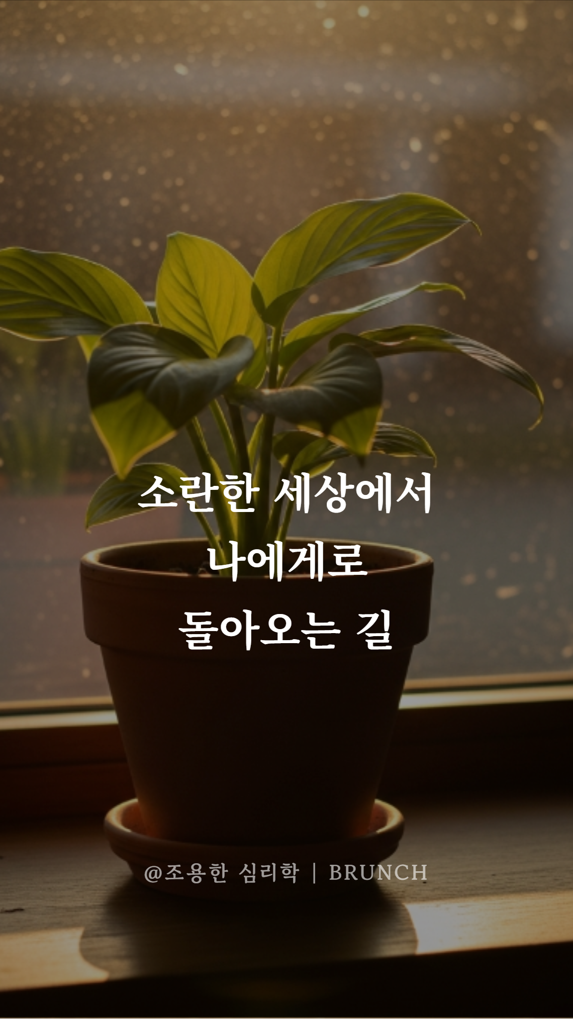 오늘은 침대에서 안 나가기로 했다 09.png