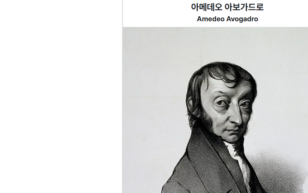 아보가드로 사진.png