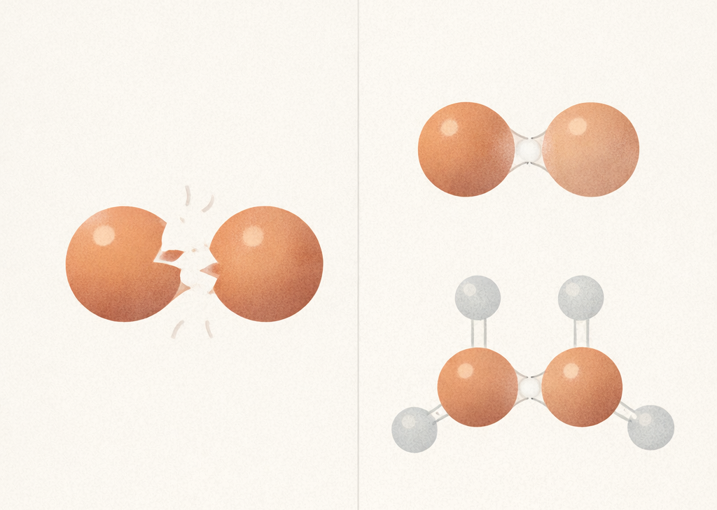 아보가드로 (3).png
