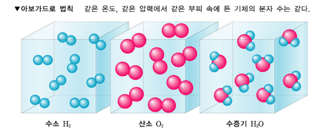 출처 금성출판사.png