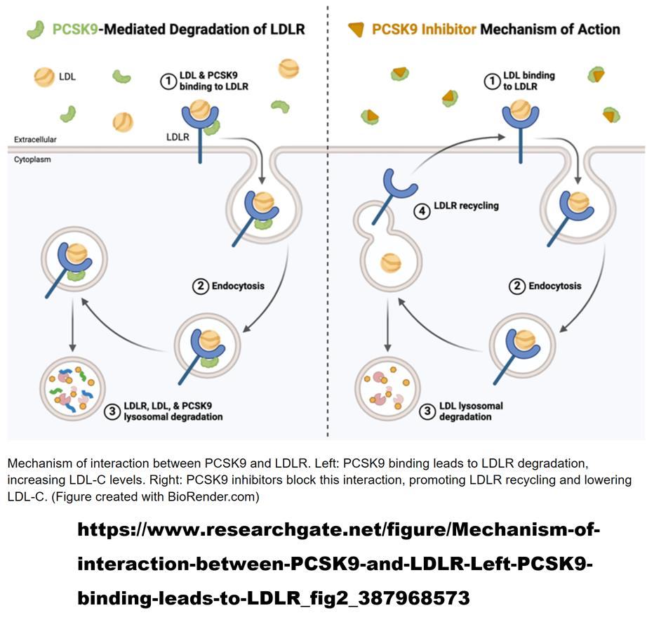 PCSK9inhibition.png