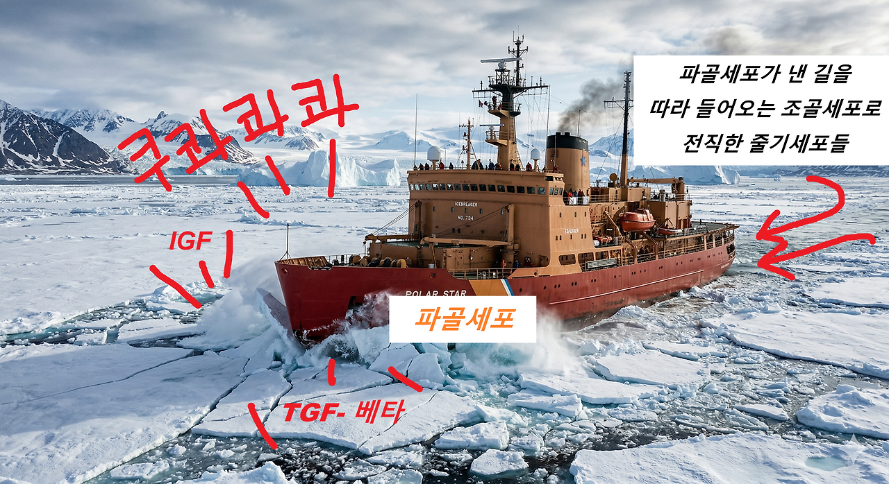 ICE_ship.png