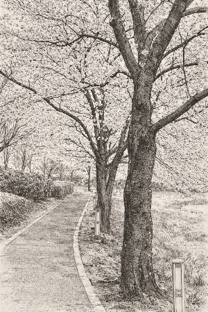 d5d1600f-b4fe-40b4-a16a-38d6fd7a58b4 (1).png