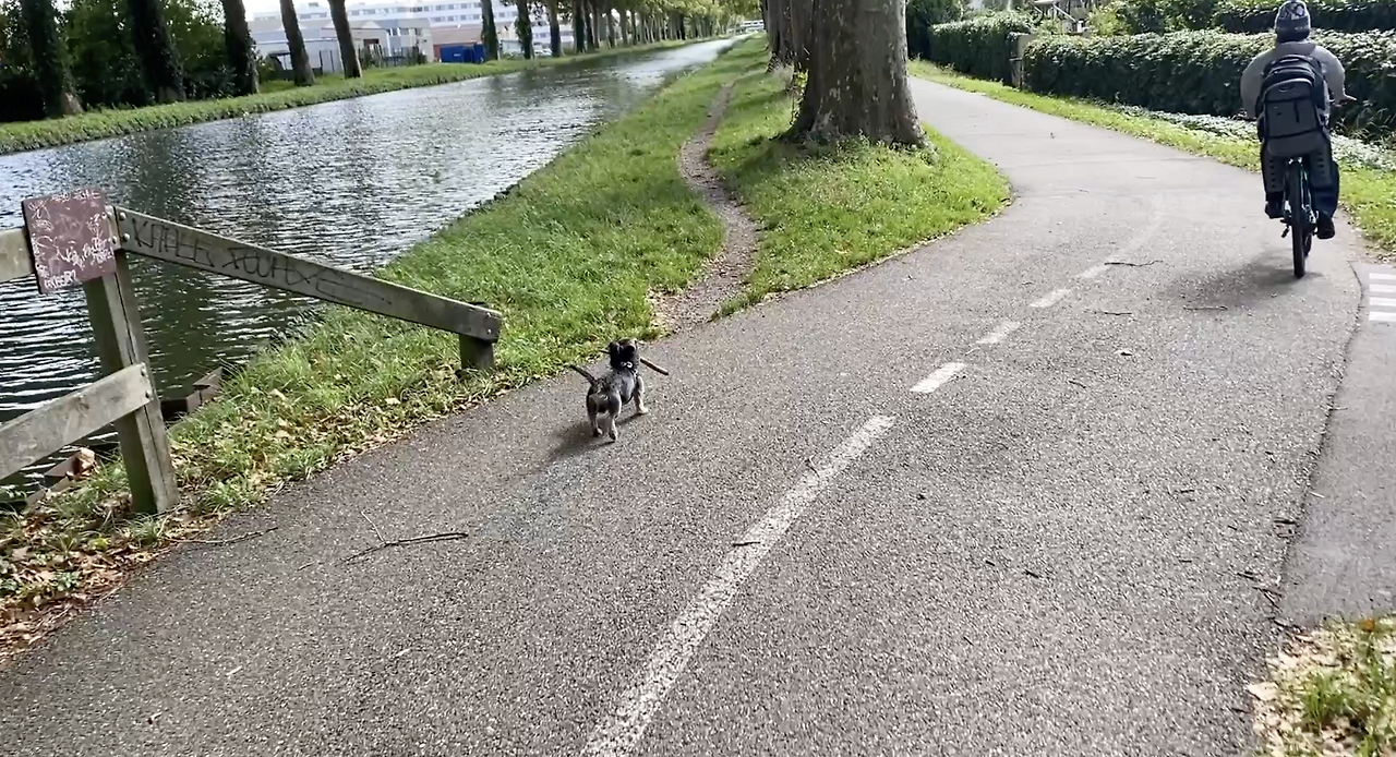 스크린샷 2026-03-08 오후 8.03.16.png