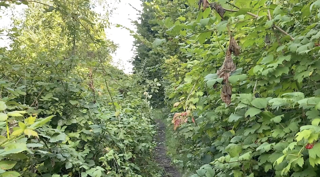 스크린샷 2026-02-07 오후 9.19.06.png