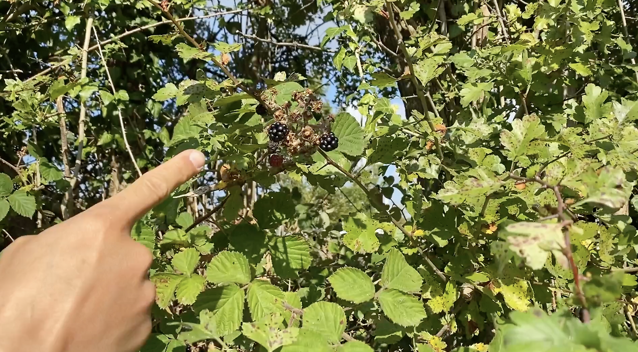 스크린샷 2026-02-03 오후 8.37.12.png