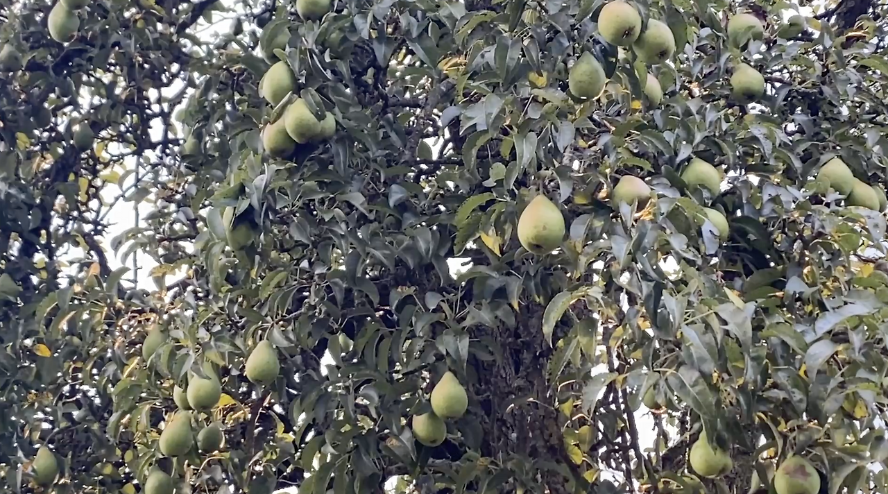 스크린샷 2026-02-03 오후 8.40.17.png