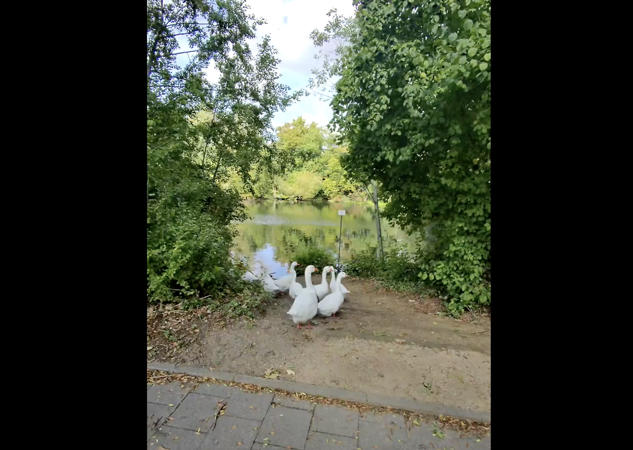 스크린샷 2026-02-11 오후 7.39.06.png