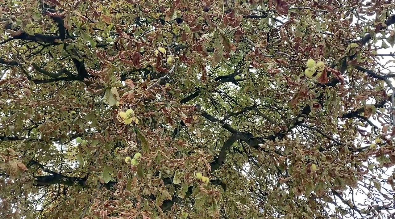 스크린샷 2026-02-11 오후 7.13.30.png