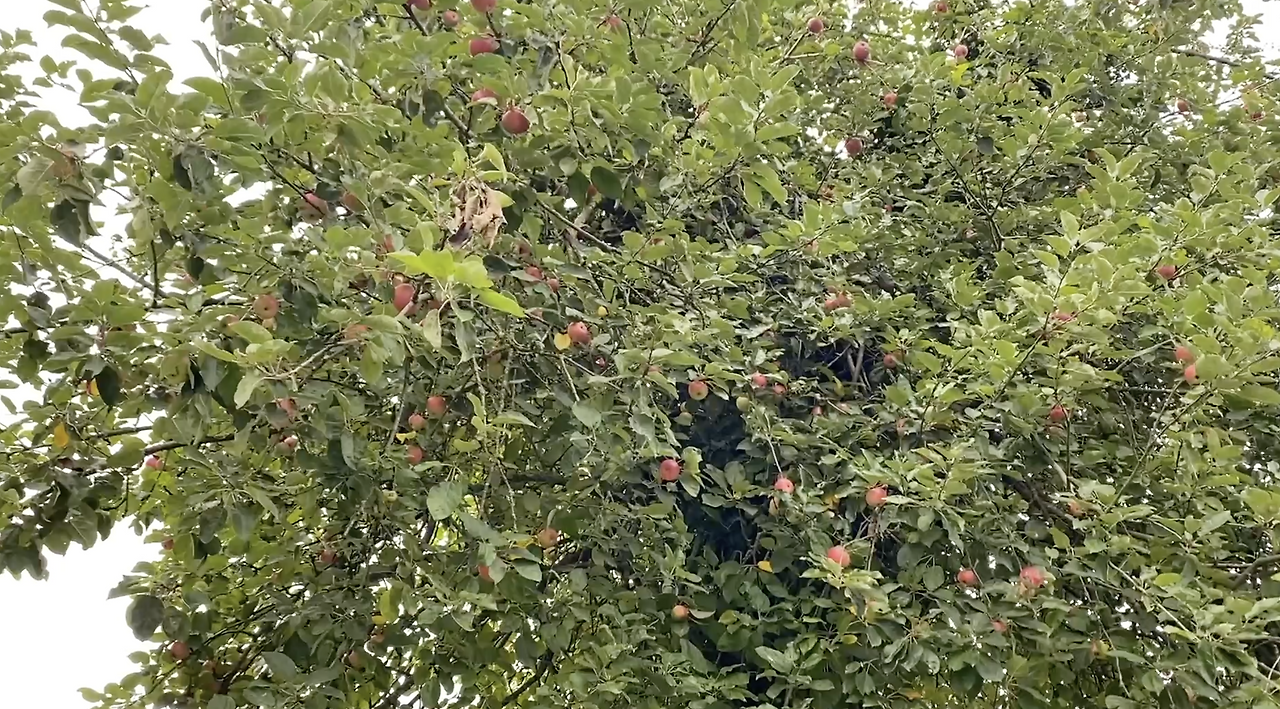 스크린샷 2026-03-08 오후 8.04.14.png