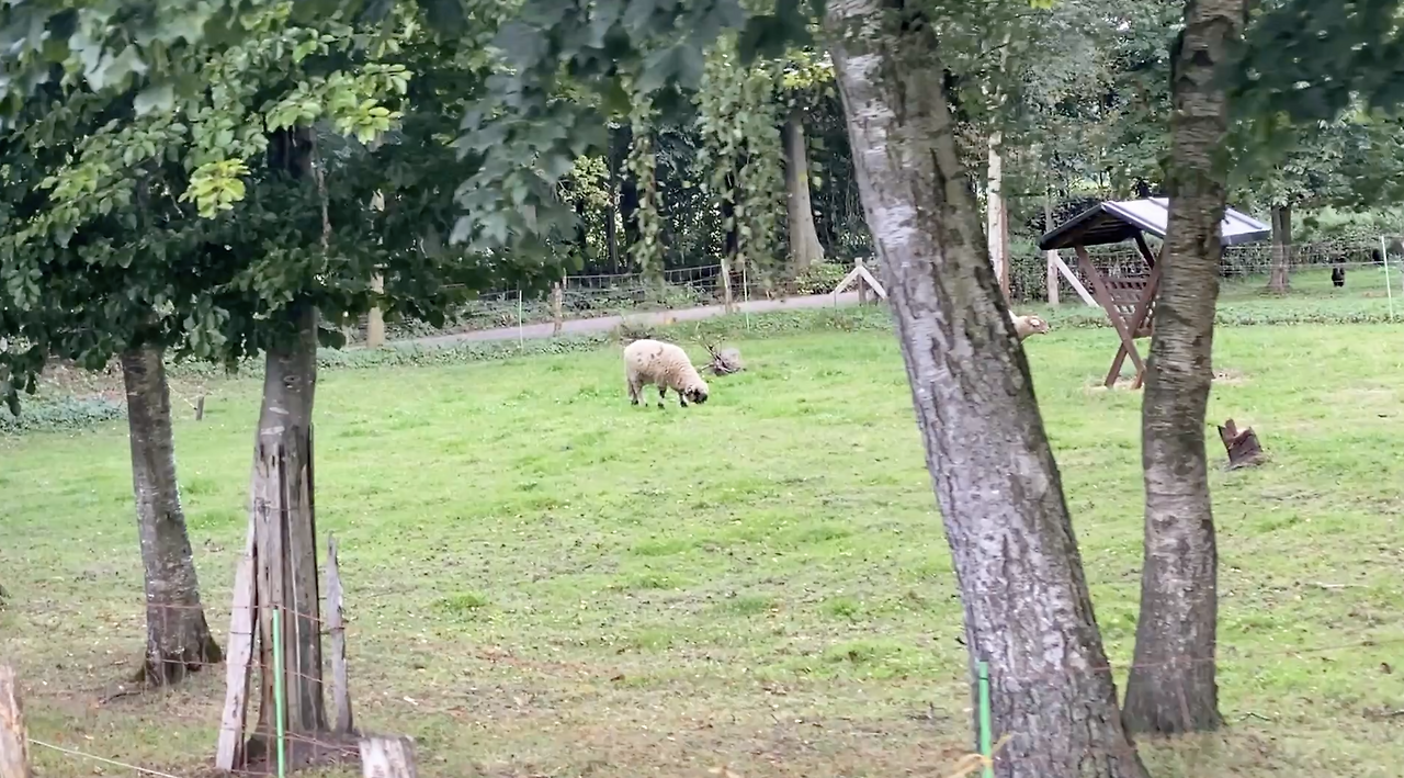 스크린샷 2026-02-03 오후 8.39.32.png