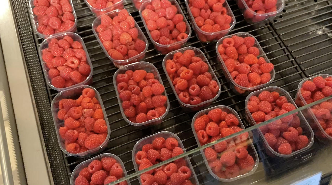 스크린샷 2026-02-11 오후 7.15.22.png