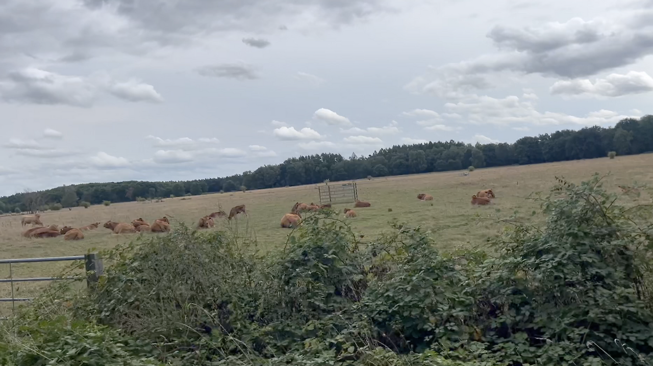 스크린샷 2026-02-11 오후 7.42.18.png