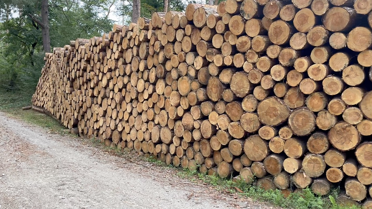 스크린샷 2026-02-28 오전 10.21.14.png