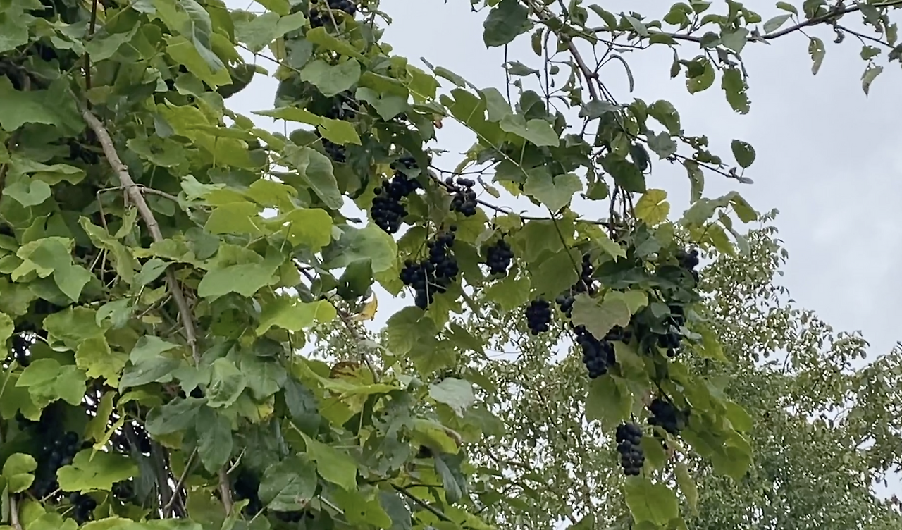 스크린샷 2026-03-05 오전 9.18.13.png