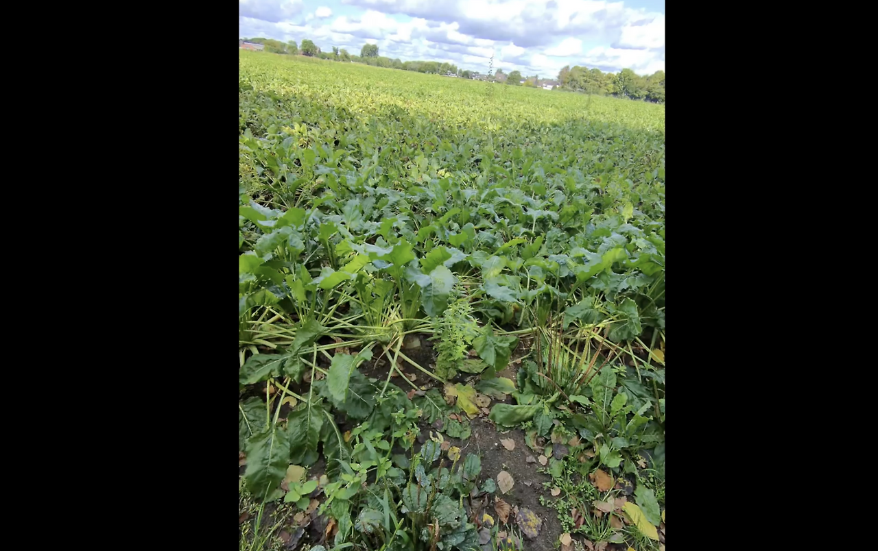 스크린샷 2026-02-11 오후 7.38.19.png