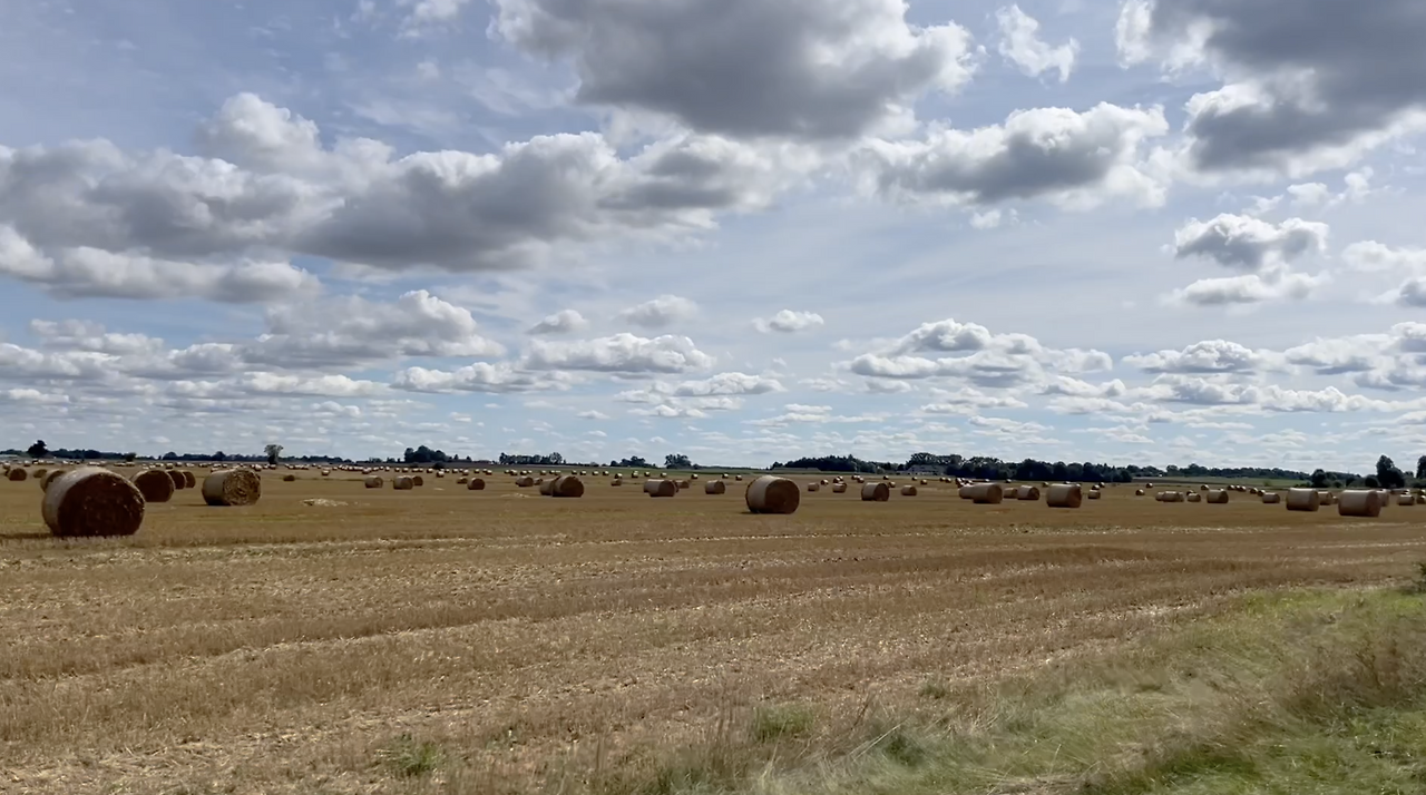 스크린샷 2026-01-29 오전 10.43.10.png