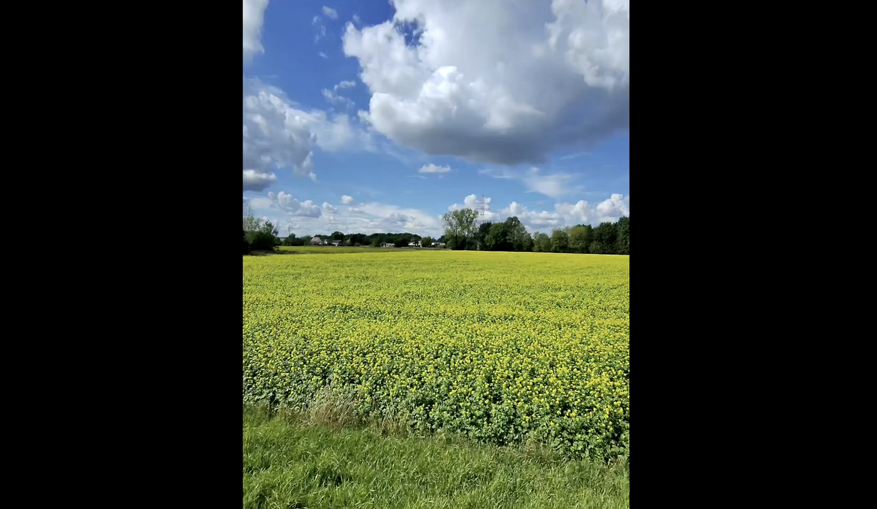 스크린샷 2026-02-14 오후 2.08.10.png