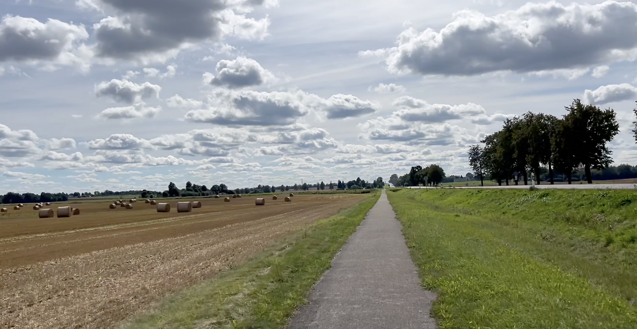 스크린샷 2026-01-29 오전 10.43.21.png