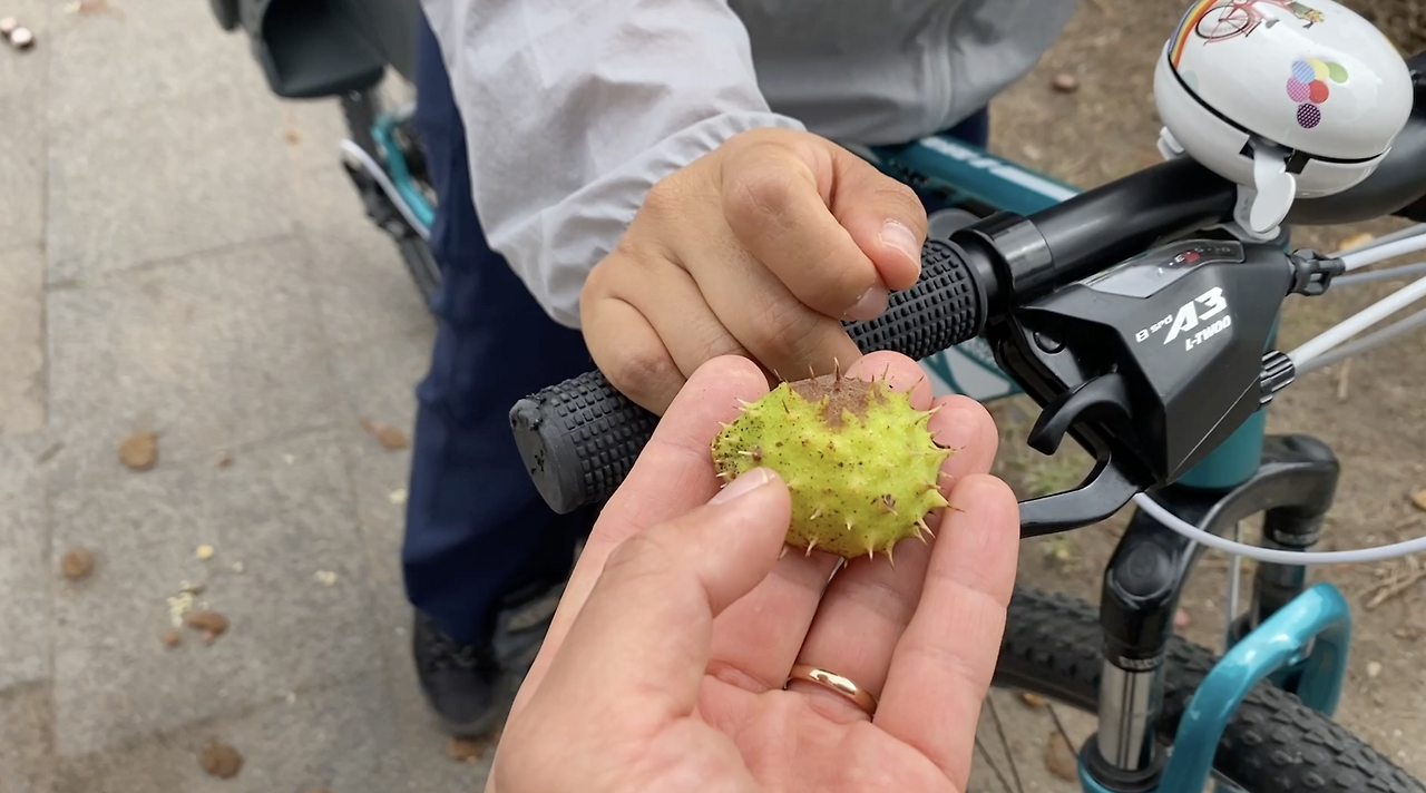 스크린샷 2026-02-11 오후 7.13.49.png