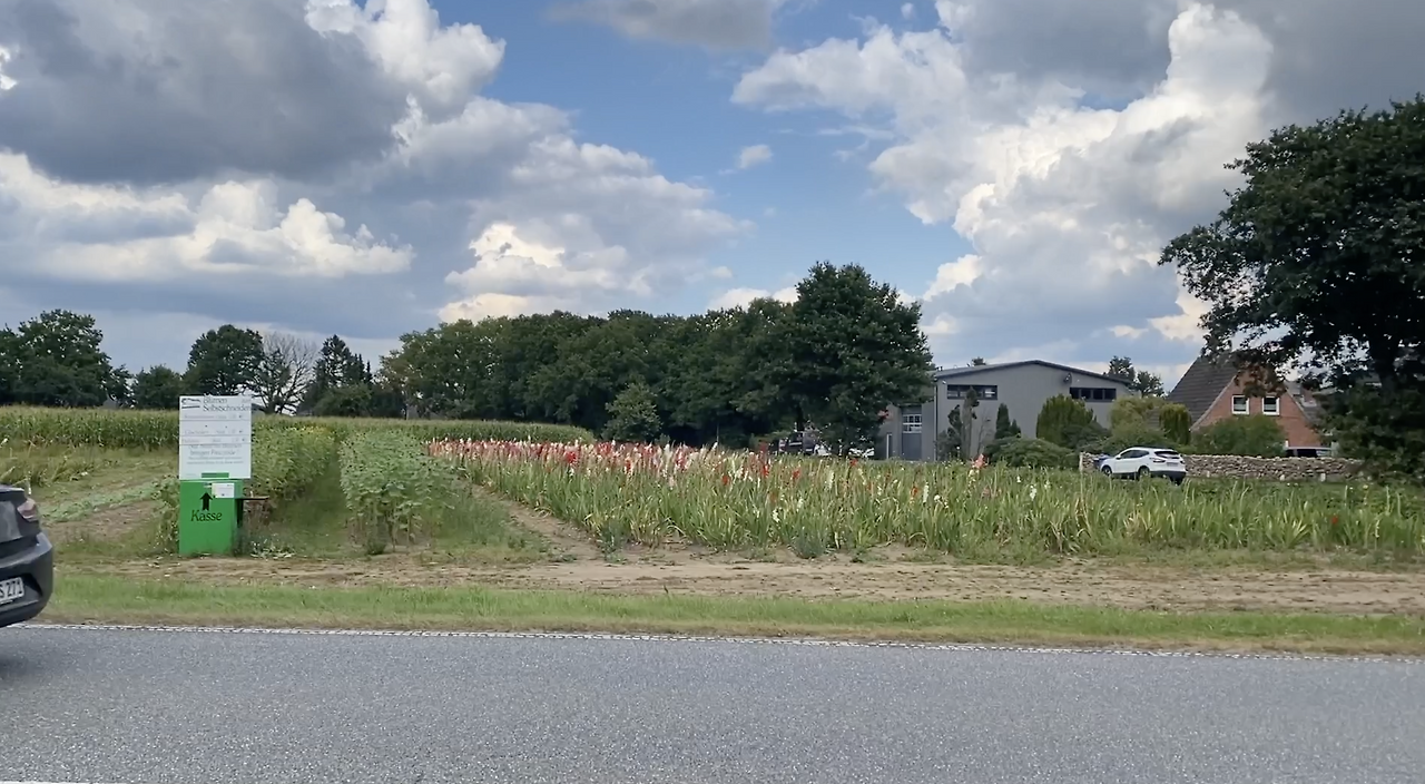 스크린샷 2026-02-03 오후 8.39.58.png