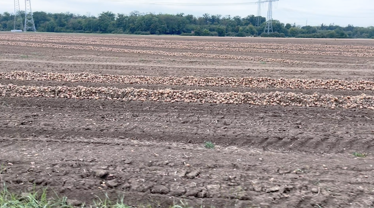 스크린샷 2026-02-28 오전 10.19.25.png