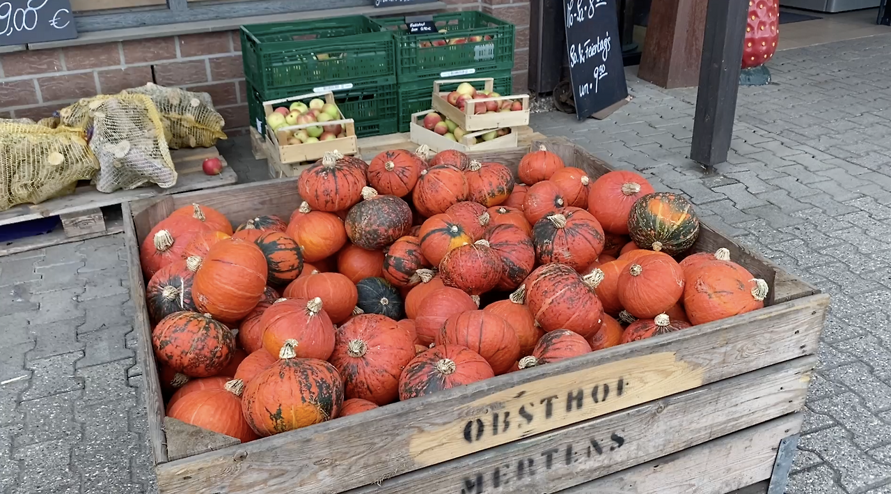 스크린샷 2026-02-11 오후 7.15.03.png