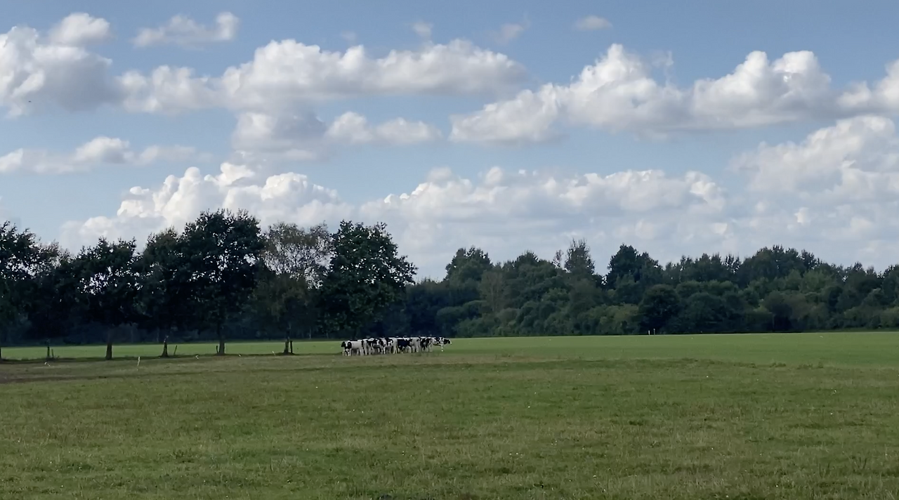 스크린샷 2026-02-03 오후 8.39.17.png