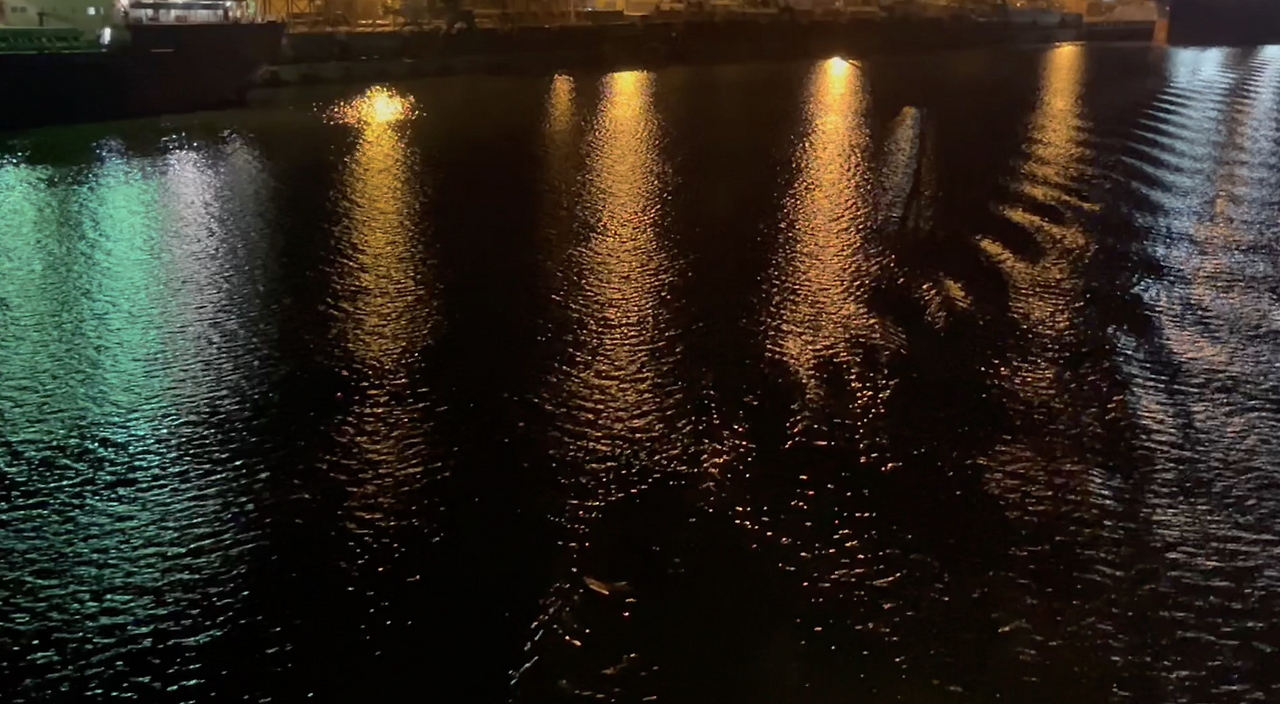 스크린샷 2026-01-30 오후 7.29.27.png