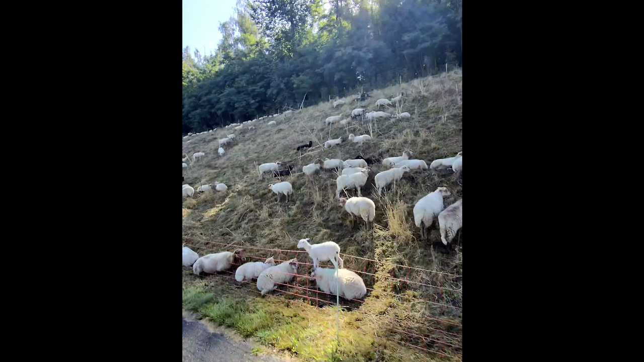 스크린샷 2026-02-16 오후 10.02.11.png