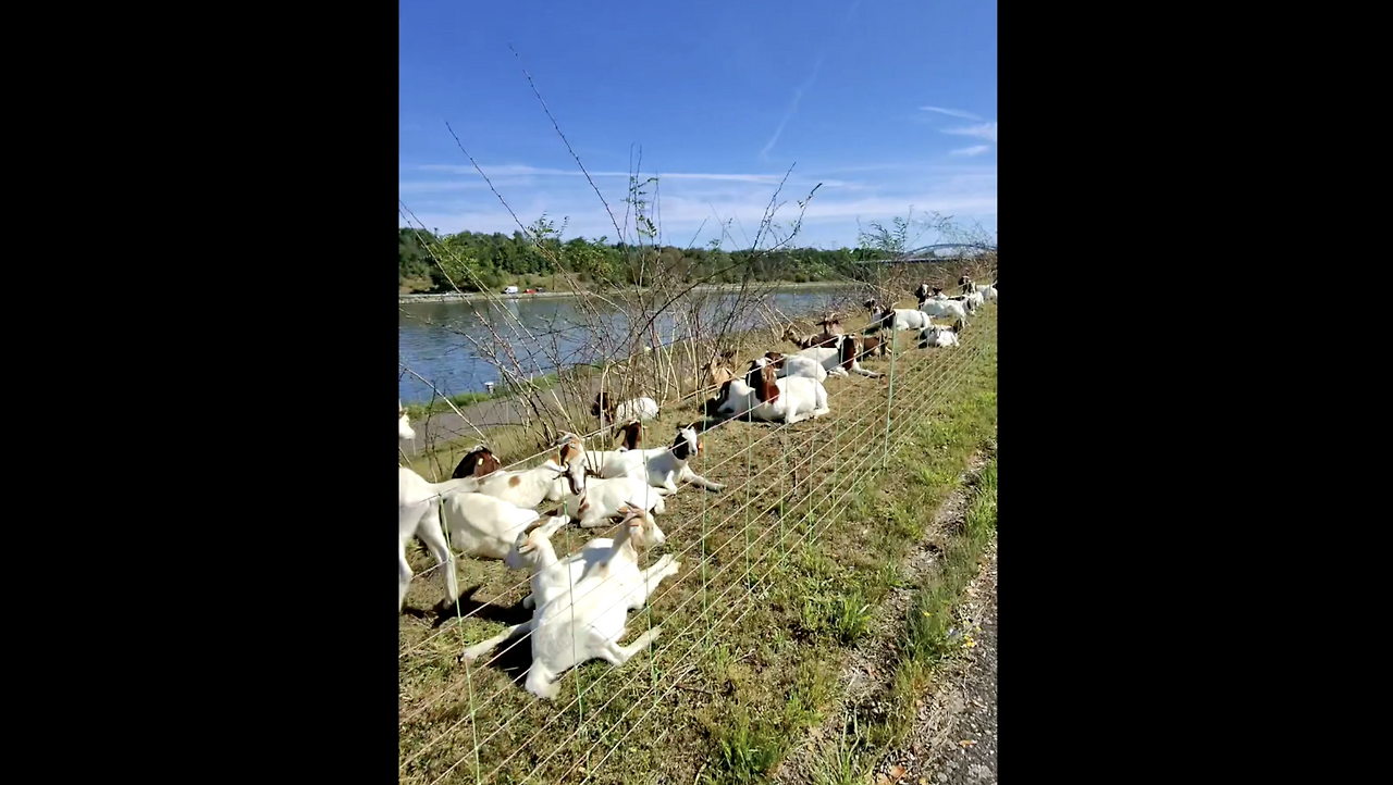 스크린샷 2026-02-16 오후 10.02.19.png