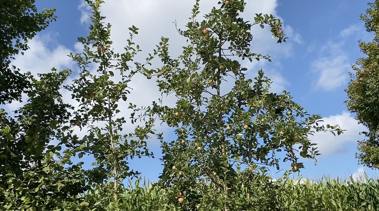 스크린샷 2026-02-03 오후 8.37.36.png