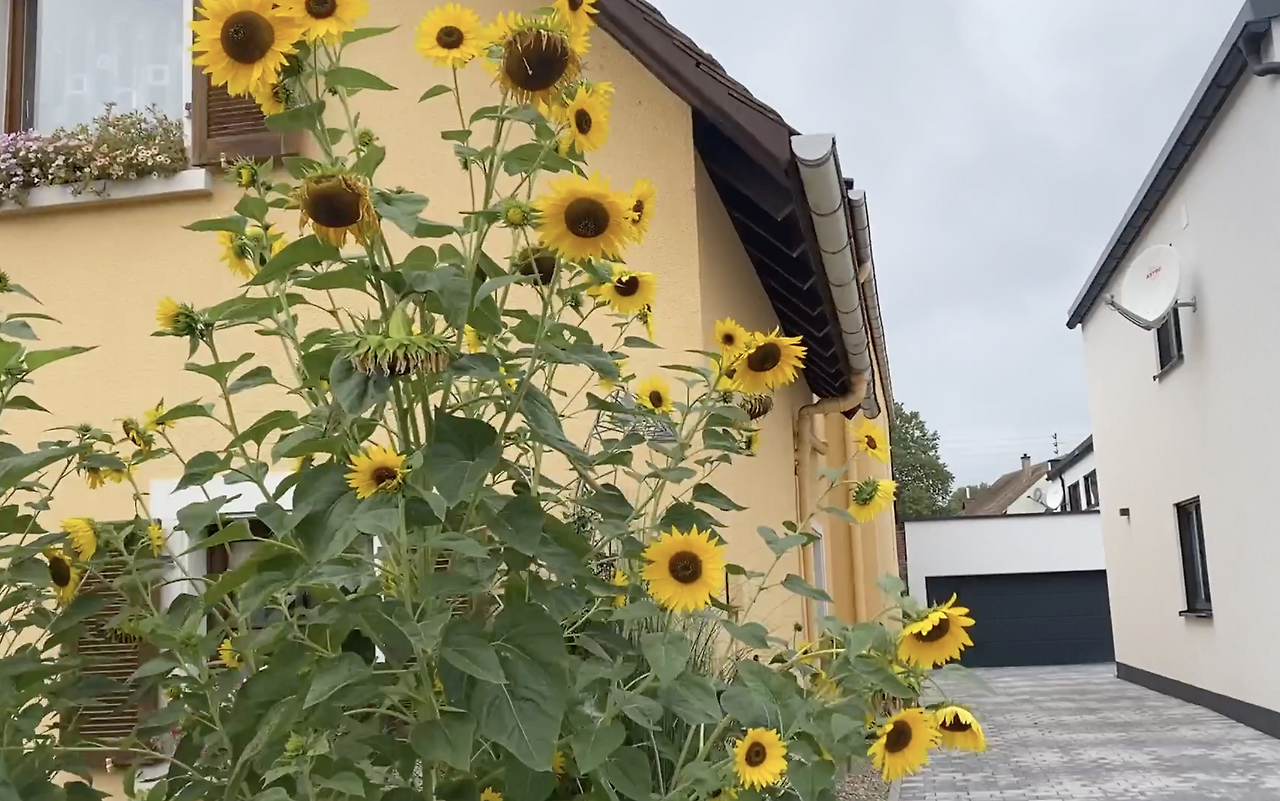 스크린샷 2026-03-05 오전 9.17.21.png