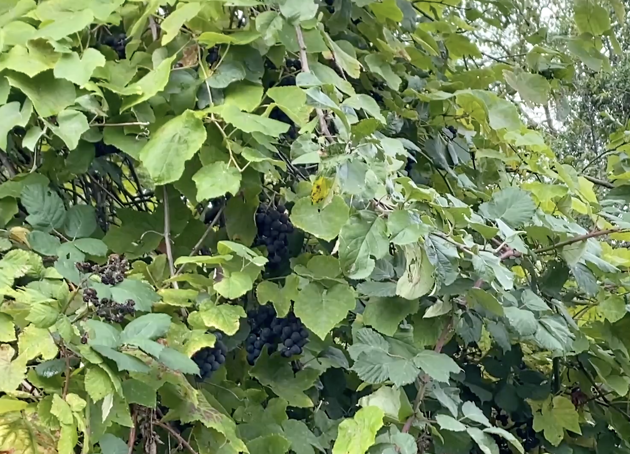 스크린샷 2026-03-05 오전 9.18.03.png