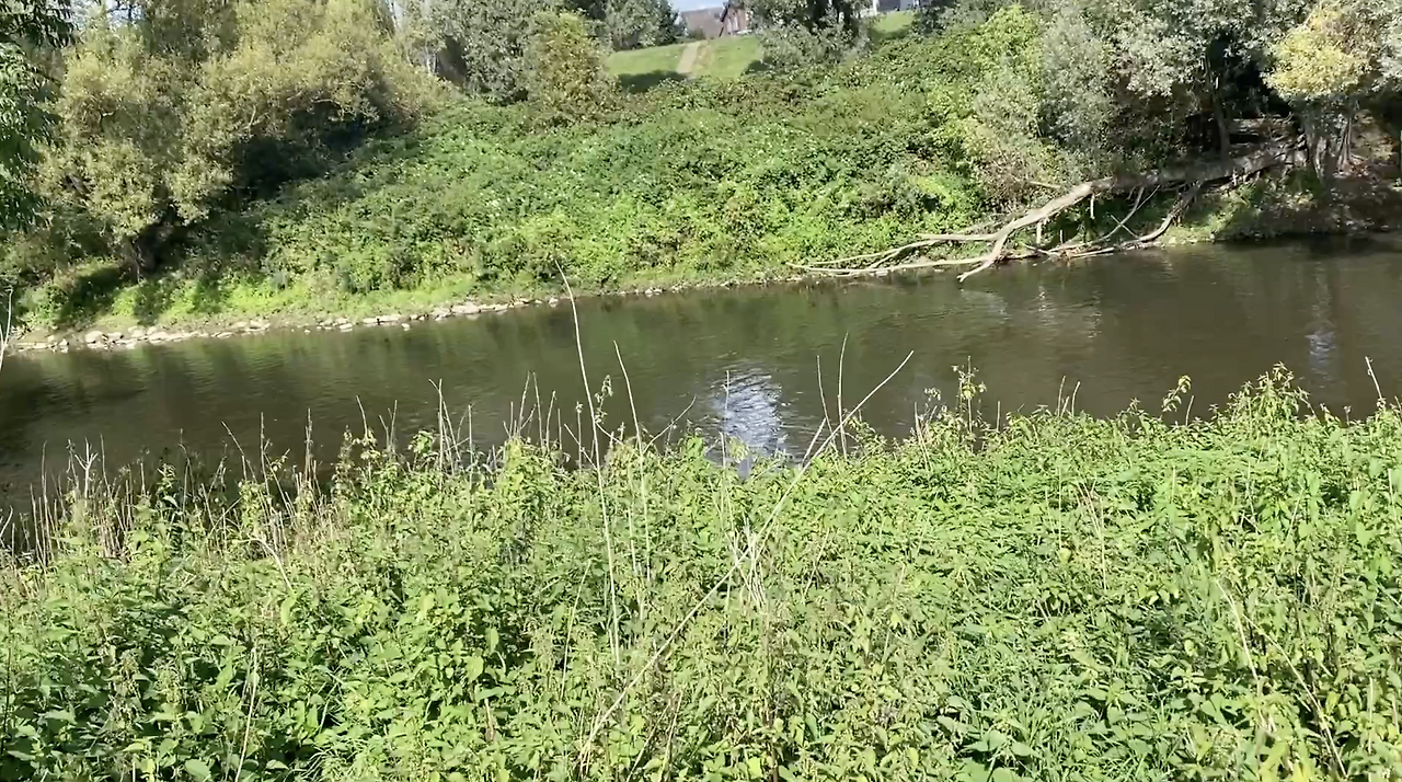 스크린샷 2026-02-07 오후 9.21.05.png