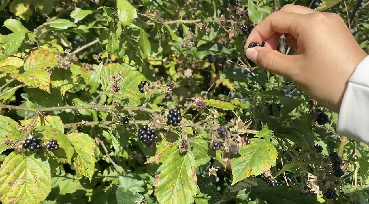 스크린샷 2026-02-03 오후 8.37.53.png