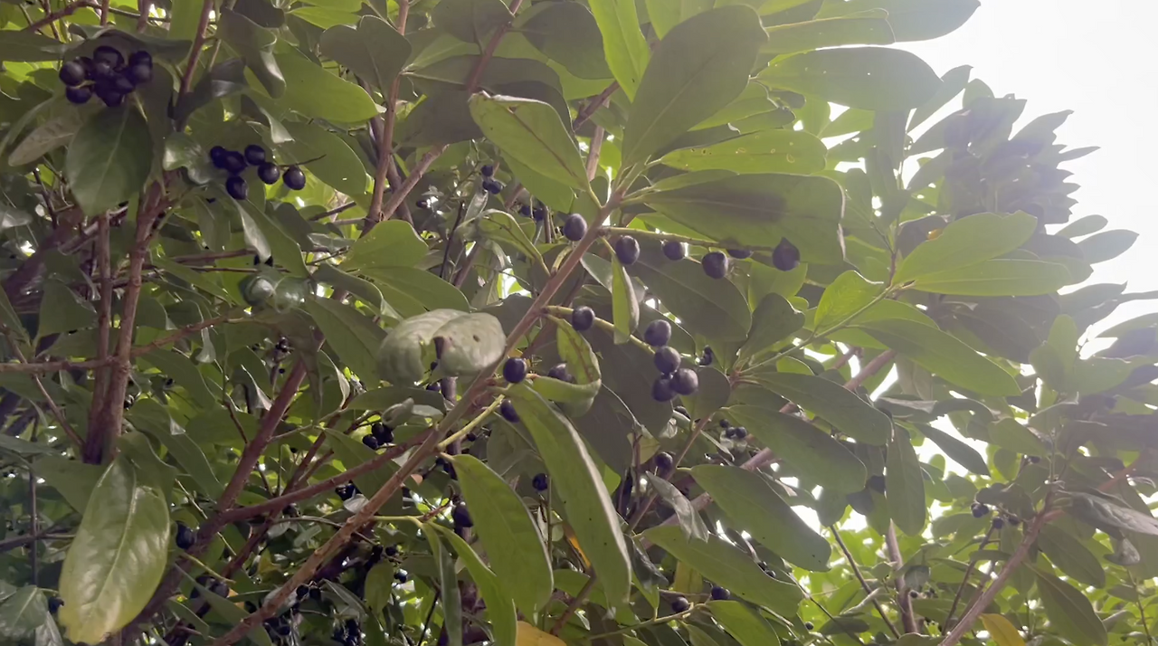 스크린샷 2026-02-03 오후 8.38.56.png