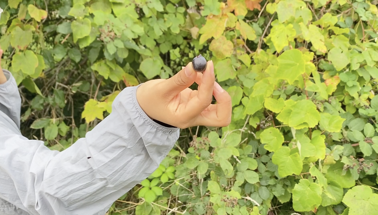 스크린샷 2026-03-05 오전 9.18.27.png